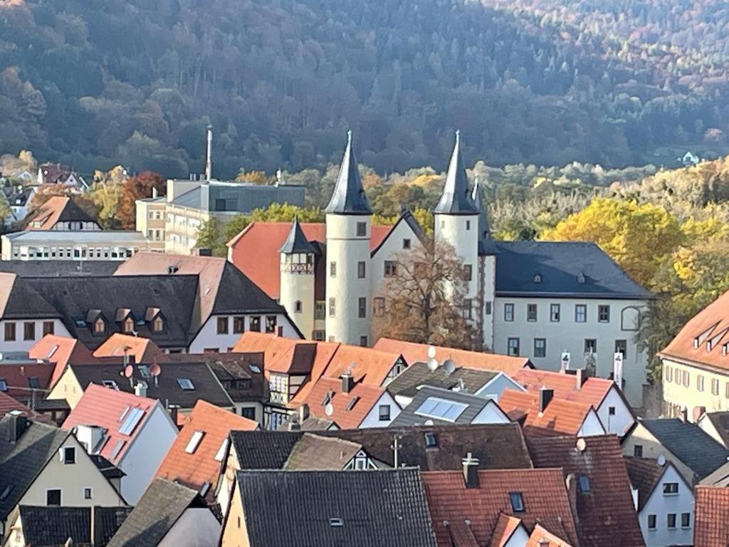 Wohnen Im Springerhof Apartamento Lohr Exterior foto